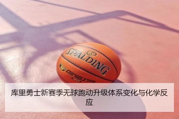 库里勇士新赛季无球跑动升级体系变化与化学反应