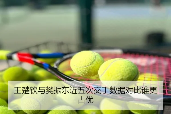 王楚钦与樊振东近五次交手数据对比谁更占优